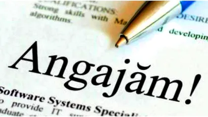 Mii de locuri de muncă în România. Iată domeniile unde se caută urgent angajați