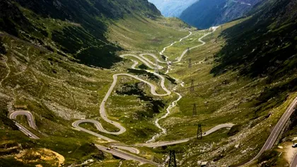 Atenție mare dacă mergi vara asta pe Transfăgărășan. Au fost semnalate Vipere!