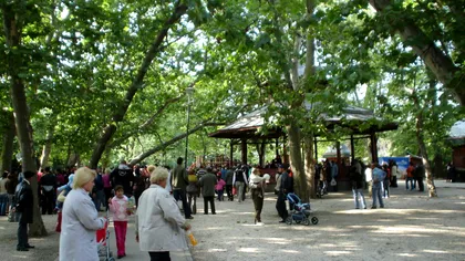 Parcul Cișmigiu, în proiecția lui Firea. Senator USR: ”Cișmigiul se va transforma într-un bâlci cu vegetație”