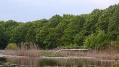 Ne batem joc până și de Mihai Eminescu. Ce se întâmplă cu Lacul cu Nuferi din Ipotești