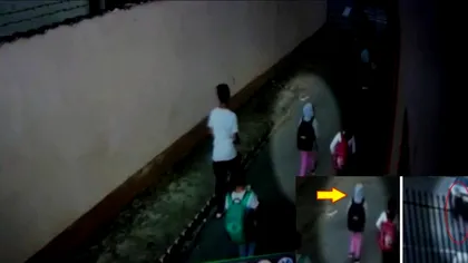 Legătura dintre fetița ucisă la Gura Șuții și 