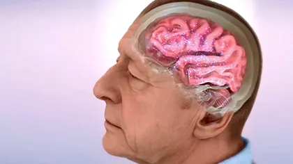 Care este vârsta la care creierul nu mai produce neuroni. Ce spun specialiștii și care sunt noile cercetări