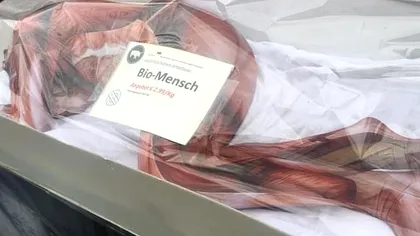 Într-o piață din Germania, se vindea ”om bio la kilogram”. Cât costa și cum au reacționat clienții