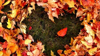 Prognoza meteo ANM pentru sâmbătă, 26 octombrie. Cum este vremea la început de weekend