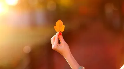 Prognoza meteo ANM vineri, 8 noiembrie. Temperaturile maxime de azi surprind