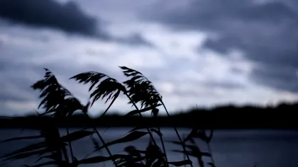 Pronoza meteo, luni, 11 noiembrie. Vremea se răcește brusc, ploi și ninsori