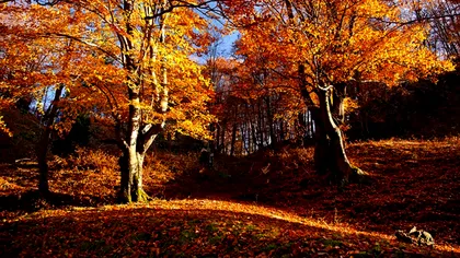 Prognoza meteo, luni, 4 noiembrie. Vremea schimbă foaia! Ce temperaturi se vor înregistra