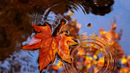 Prognoza meteo, vineri, 29 noiembrie. Vremea se încălzește