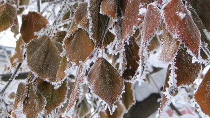ANM: Avertizare cod galben, în mai multe județe. Fenomene meteo neobișnuite, până la ora 20.00