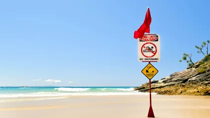 A găsit un obiect bizar pe plajă și l-a atins. După câteva clipe a paralizat. Ce era de fapt