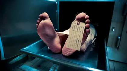 Firmele de servicii funerare se 