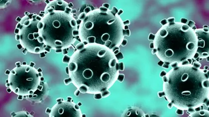 Alertă de coronavirus la Cluj. Ce s-a întâmplat cu o stewardesă în timpul zborului