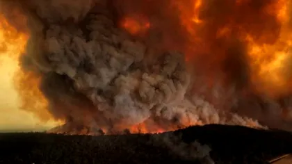 Efectul bizar al incendiilor din Australia. Oamenii au rămas șocați de ce au descoperit la 2000 de kilometri distanță