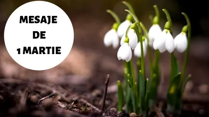 Mesaje Whatsapp și Messenger, felicitări virtuale deosebite de 1 martie pentru toate doamnele și domnișoarele