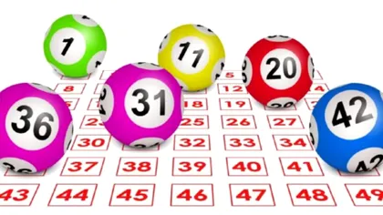 Rezultate LOTO 6 din 49. Numerele extrase joi, 20 februarie 2020 – LIVE