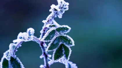 Prognoza meteo ANM, săptămâna 10 - 17 februarie. Temperaturile se schimbă radical