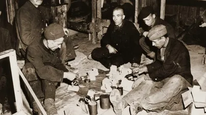 7 boli care au ucis milioane de oameni la nivelul Planetei. Cum a trecut omenirea peste aceste crize