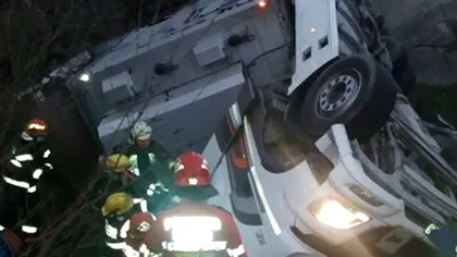 Accident mortal în Mureș! Un camion care transporta mai multe animale a fost implicat