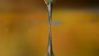 Fotografia perfectă. 6 ani și 720.000 de încercări i-au trebuit acestui fotograf să surprindă această imagine