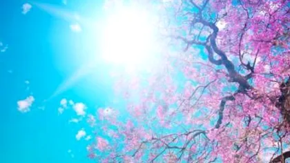 Tradiții și obiceiuri de Florii. De ce se spune că prognoza meteo va fi la fel și de Paște?