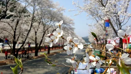 Prognoza ANM pentru vineri, 24 aprilie 2020. Vreme va fi predominant frumoasă