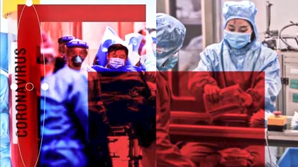 Cercetătorii sunt uluiți! Ce s-a aflat acum despre virusul care a devastat omenirea