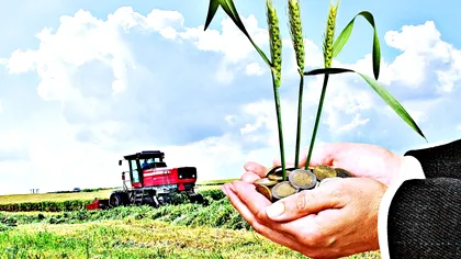 Decizie radicală a Guvernului. Ce se întâmplă cu salariile românilor