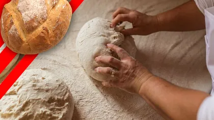 2 rețete de pâine după preferințele fiecăruia. Cu semințe, pufoasă sau scorojită!