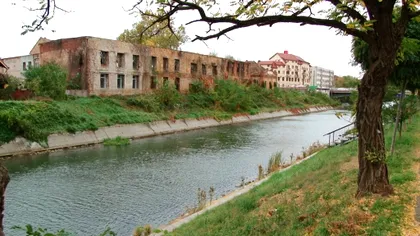 Descoperire înfiorătoare în Timișoara. Ce a găsit o familie pe malul apei: “Să ne ferească Dumnezeu!”