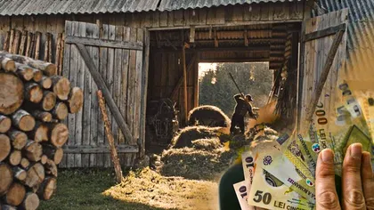 Se dau 1.200 de lei pentru mii de români. Ce condiții trebuie să îndeplinească pentru banii de la stat