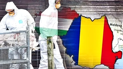 Un nou virus la granița României cu Ungaria. Localitățile din țara noastră care intră sub supraveghere