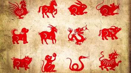 Zodiac chinezesc, azi, 21 mai. Zodia care primește răspunsurile mult așteptate