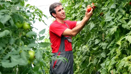 Românii sunt primii din Europa la acest aspect. Cum i-am depășit pe străini