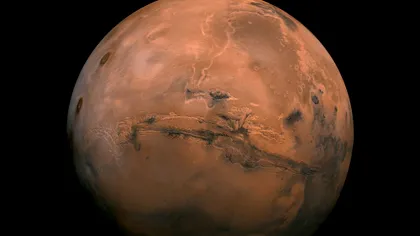 Adevărul despre “osul uman” de pe Marte. Fotografia care a făcut înconjurul internetului