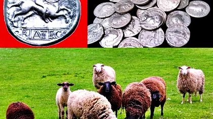 Ca în povești. Un cioban din Alba a găsit o comoară cu monede romane de argint. Cât valorează tezaurul