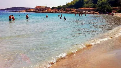 Creatură uluitoare, găsită pe plajă. Turiștii s-au speriat de moarte FOTO