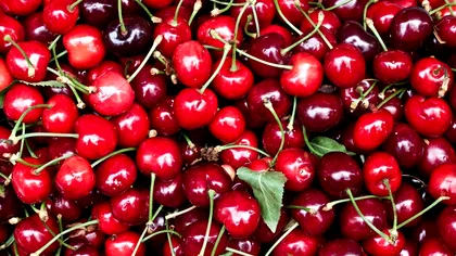 Nutriționistul Mihaela Bilic, avertisment dur pentru iubitorii de cireșe. Ce schimbări se produc în organism atunci când mâncăm aceste fructe