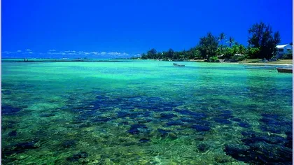 Descoperire uluitoare în Oceanul Indian. Cercetătorii nu se așteptau la asta