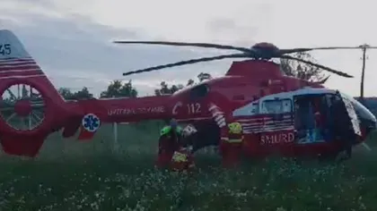 Pericol de moarte pentru români. Adolescentă, mușcată de un șarpe în timp ce se plimba în pădure. Ce spun martorii