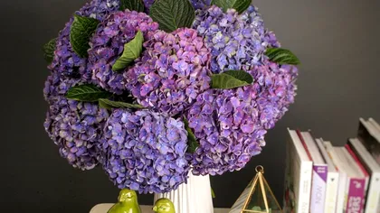 5 secrete pentru ca florile să reziste mai mult în vază. Trucurile care nu dau greș