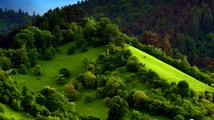 Locul sacru din România. Altarele certificate științific care atrag anual sute de mii de turiști