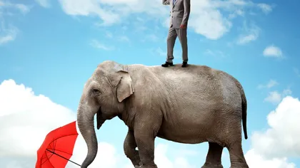 Ai memorie de elefant. Ce înseamnă, de fapt, celebra expresie. Mulți nu s-au gândit la asta