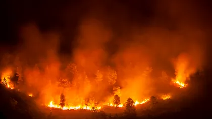 Avertisment de ultimă oră de la MAE! Grad ridicat pentru incendii de vegetație în Grecia