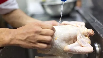Sigur nu știai asta! De ce să nu speli carnea de pui înainte de preparare