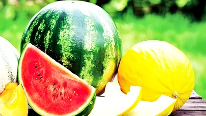 Cum alegi cel mai bun pepene roșu. Așa îți dai seama că pepenele este copt