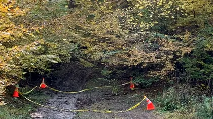 Hoţul de lemne care l-a ucis pe pădurarul maramureşan Liviu Pop a fost prins