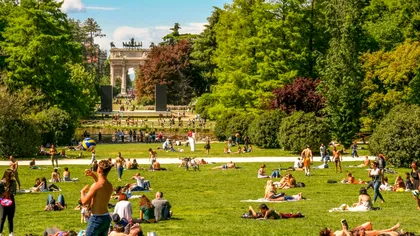 Insecta mai periculoasă decât țânțarul. Îi terorizează pe toți românii în această vară