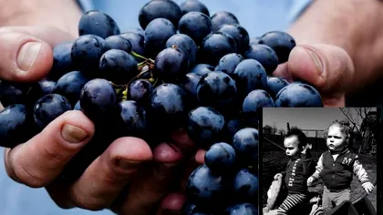 Răsturnare de situație în cazul copiilor care au murit după ce au mâncat struguri. Raportul IML a găsit altceva în organismul lor