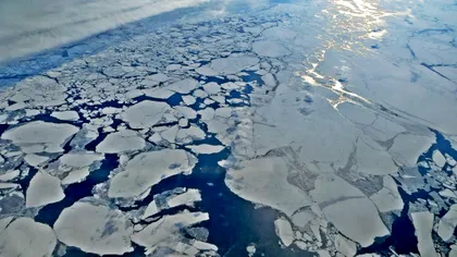 Avertismentul șocant al specialiștilor în schimbarea climei: „Se va întâmpla în curând. Vom avea din ce în ce mai puțin timp”