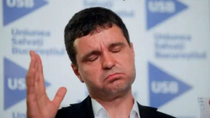 Cine a plătit panoul luminos uriaș cu ”#Câine” și ”#Traficdeinfluență”. Ce legătură are videochatista Oana Lovin